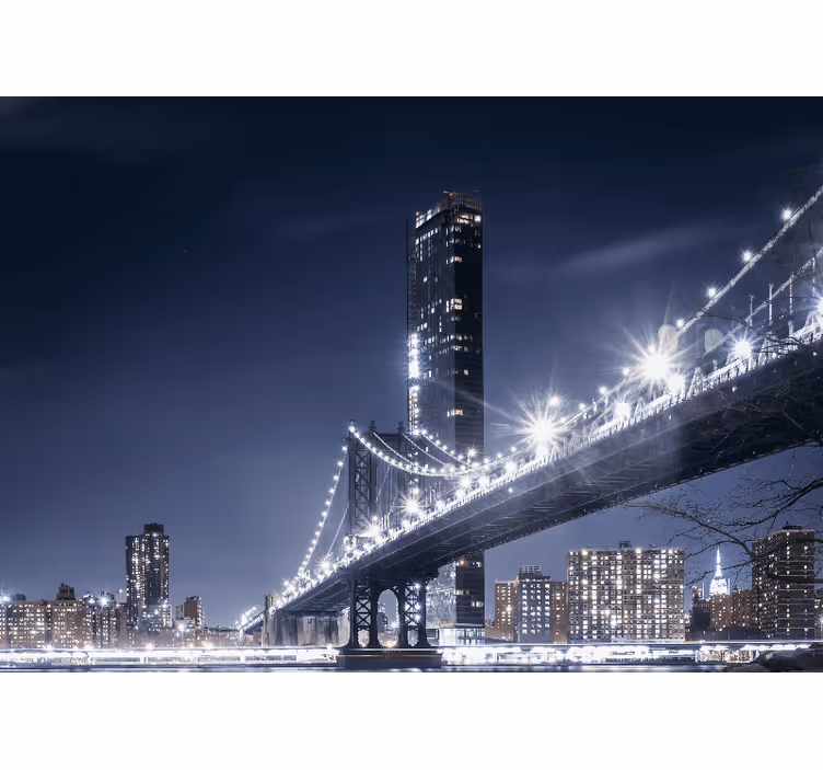Fototapeta manhattanský most v noci - TenStickers