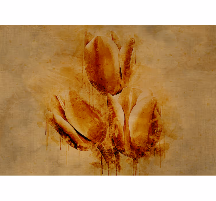 Fototapeta květiny elegantní tulipány - TenStickers