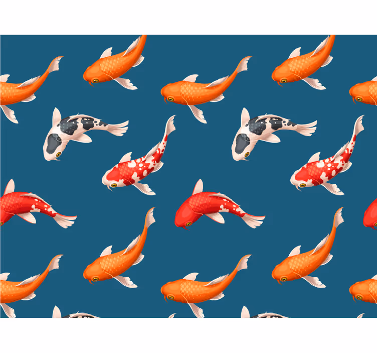 Fototapeta zvířata barevní koi kapři - TenStickers