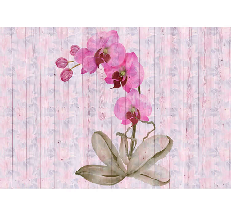 Fototapeta růžová a fialová květinová orchidej - TenStickers