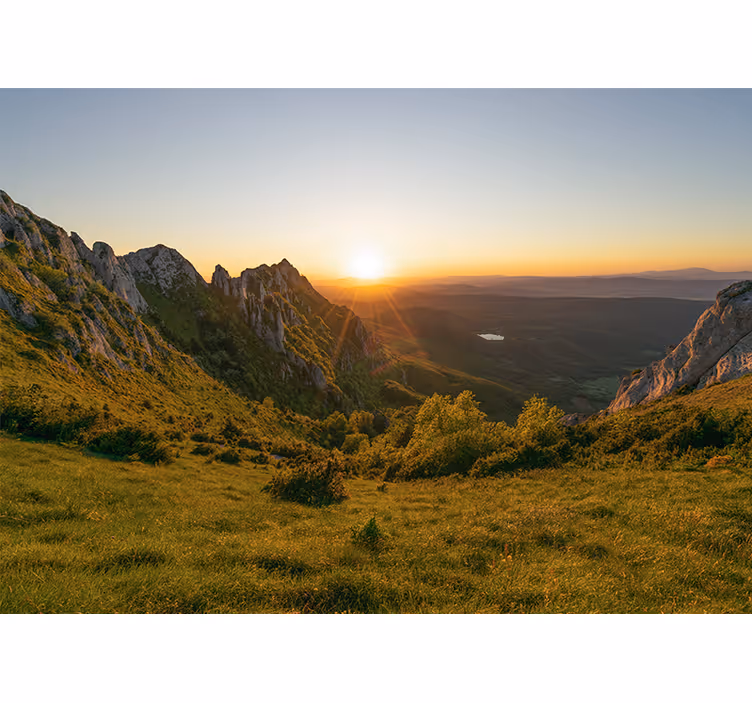 Fototapeta stromy a západ slunce z hory - TenStickers