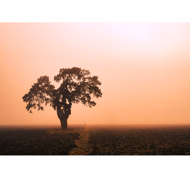Majestátní strom savana Africký styl fototapeta - TenStickers