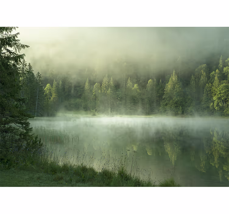 Fototapeta zelené stromy na mlhavý den horské - TenStickers