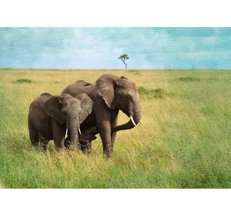 Fototapeta volně žijících živočichů savana sloni afrika - TenStickers