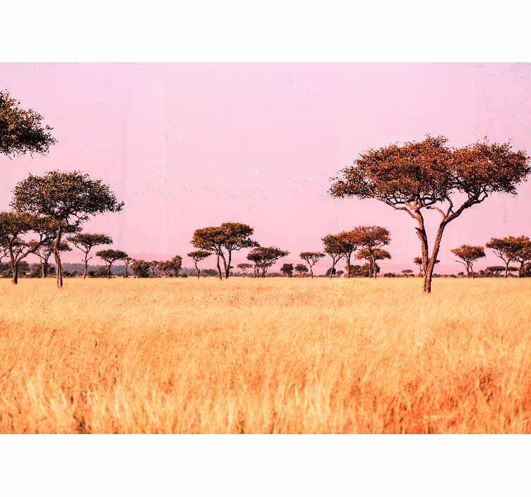 Originální fototapeta africká savana afrika - TenStickers
