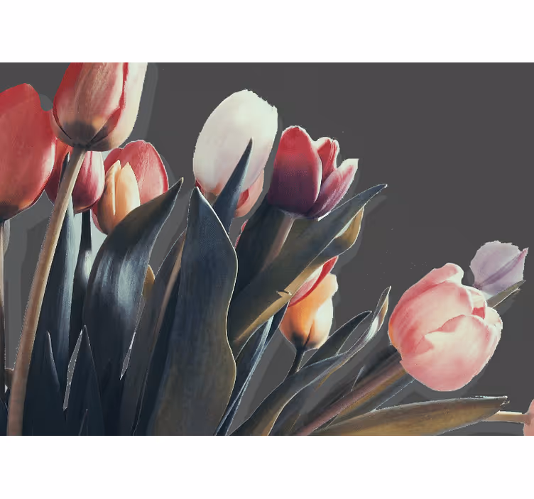 Fototapeta květiny tulipánové květy - TenStickers