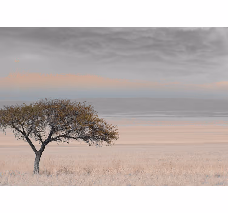 Africká savana 3 barvy manželství fototapeta - TenStickers