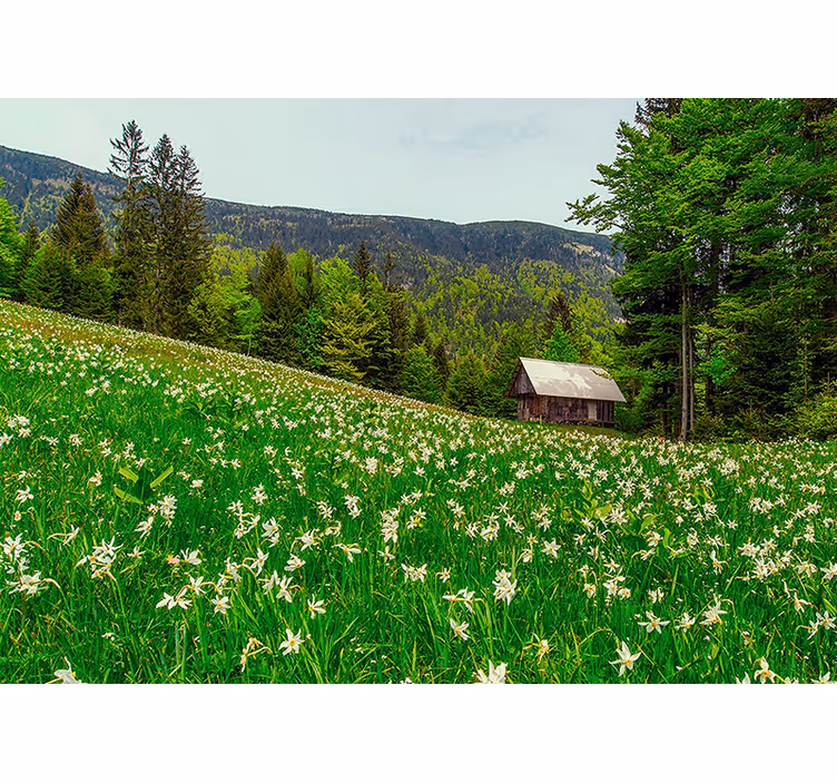 Příroda fototapeta klidná venkovská krajina - TenStickers