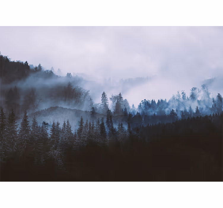 Lesní fototapeta tajemná svěží krajina - TenStickers