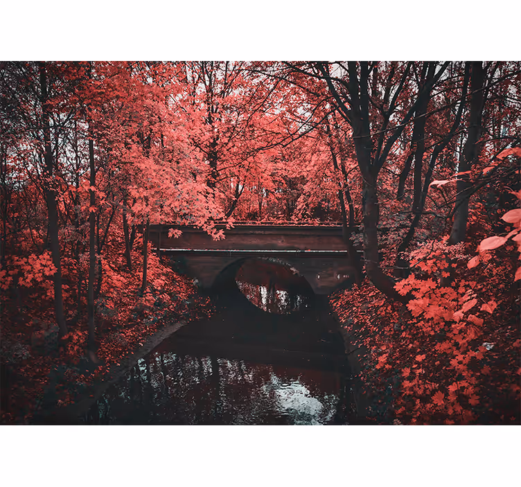 Fototapeta dřevěný most chata ve stylu přírody - TenStickers
