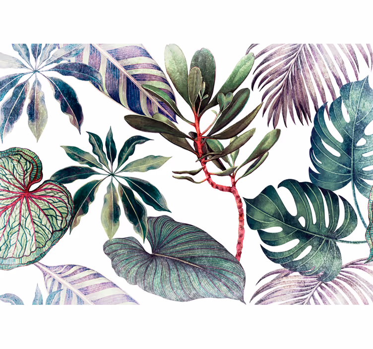 Fototapeta akvarel monstera rostliny - TenStickers