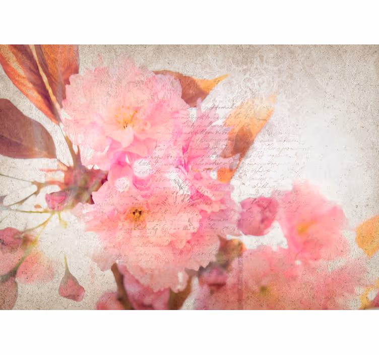 Fototapeta květiny sakura v plném květu - TenStickers