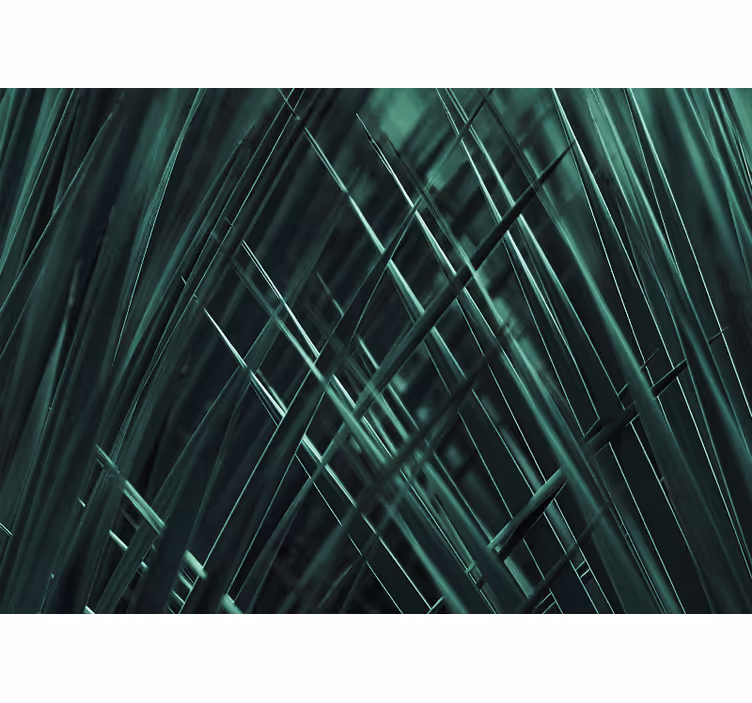 Příroda fototapeta zelené texturované prameny - TenStickers