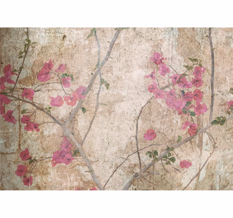 Fototapeta květiny růžové bougainvilley - TenStickers