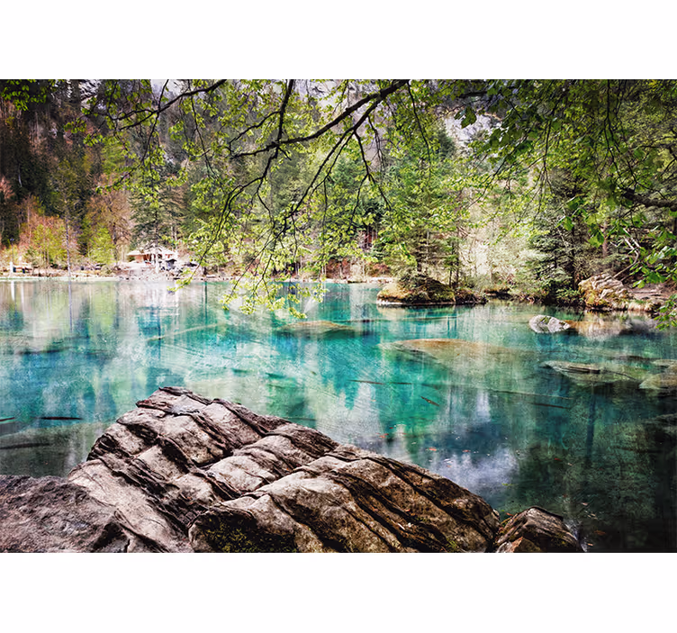 Fototapeta jezero a stromy během dne jezera - TenStickers