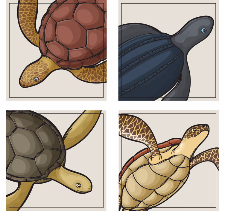 želvy sada živočišných dlaždic - TenStickers