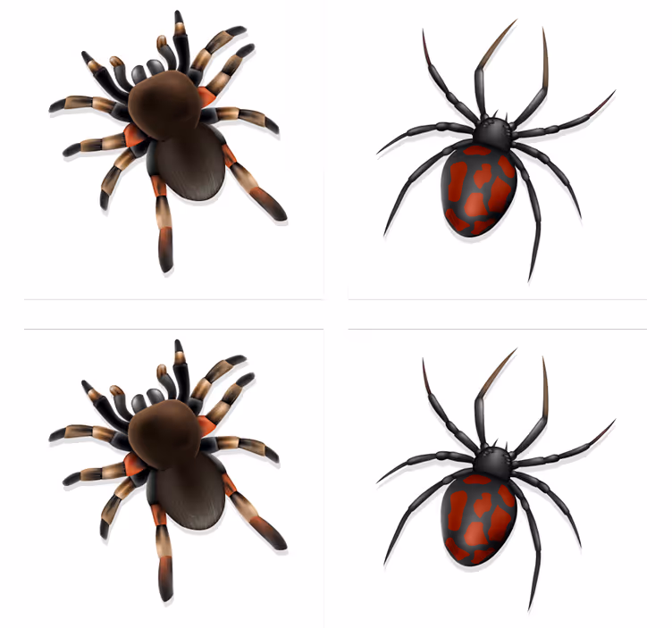 Realistická pavoučí halloweenská dráha - TenStickers