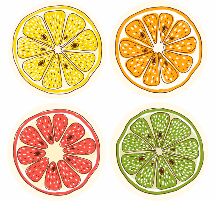 Motivy plátků citrusů blázen podtácek - TenStickers
