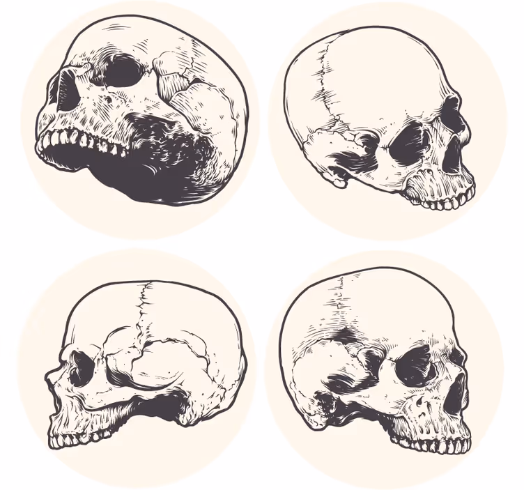 Blázen podtácek s ilustracemi lebek - TenStickers