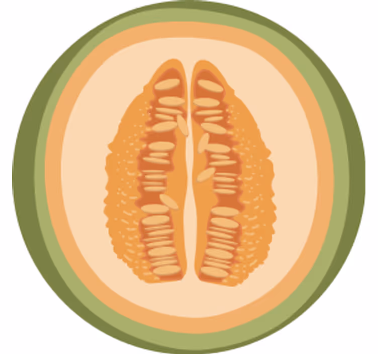Blázen podtácek s motivy ovocných plátků - TenStickers