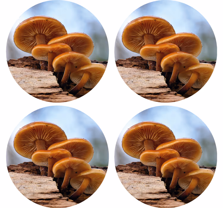 Moderní podtácek houbové uspořádání - TenStickers