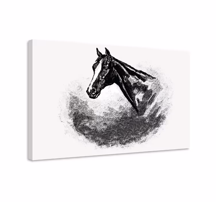 Obraza koní grafitové koně - TenStickers