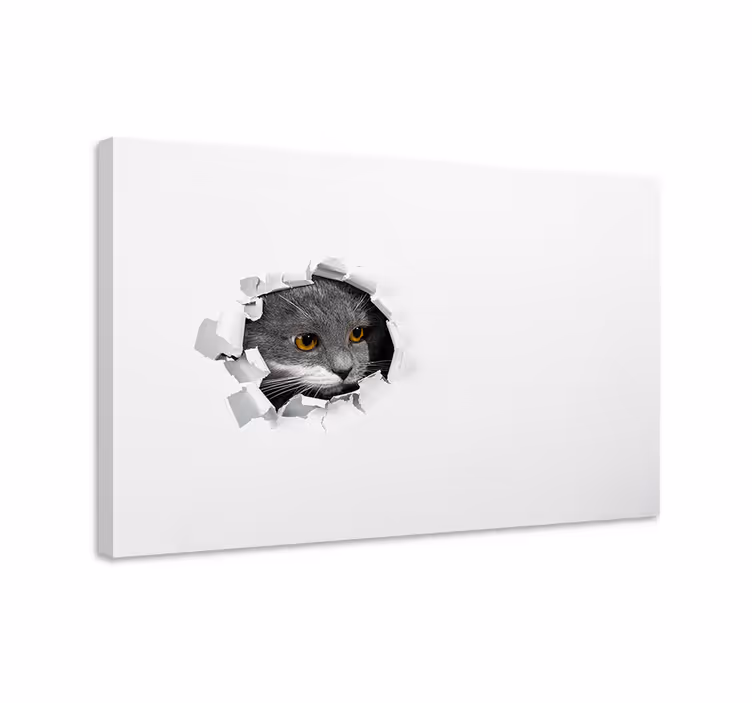 Obraza koček roztomilé kočky - TenStickers
