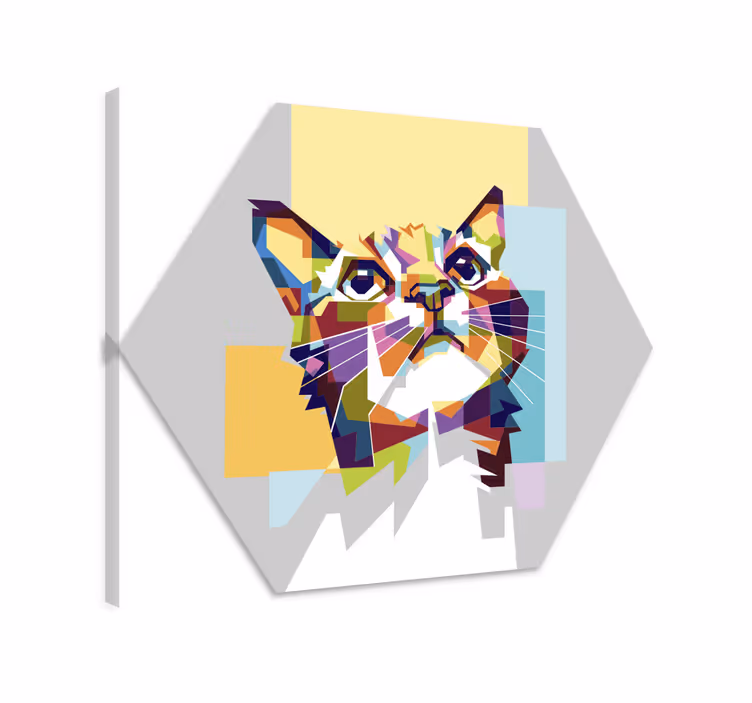 Obraza koček barevná naděje - TenStickers
