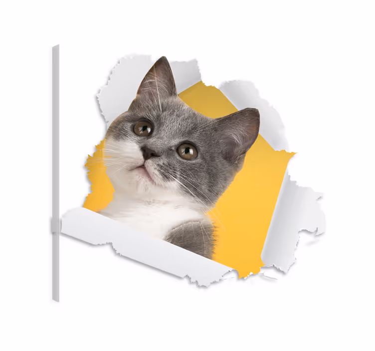 Obraza koček 3d samolepka kočky - TenStickers