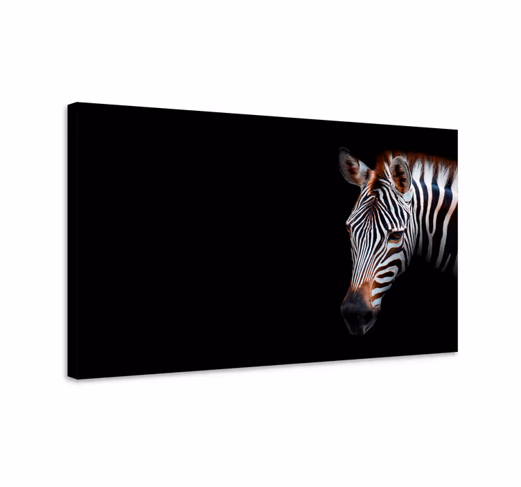Obraz na plátně pop-art zebra - TenStickers