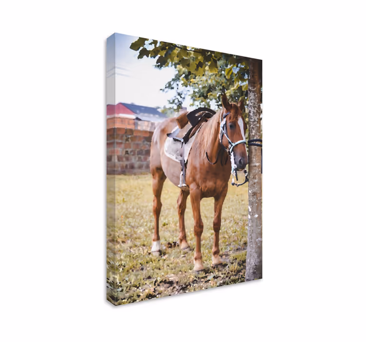 Obraza koní elegantní hnědý kůň - TenStickers
