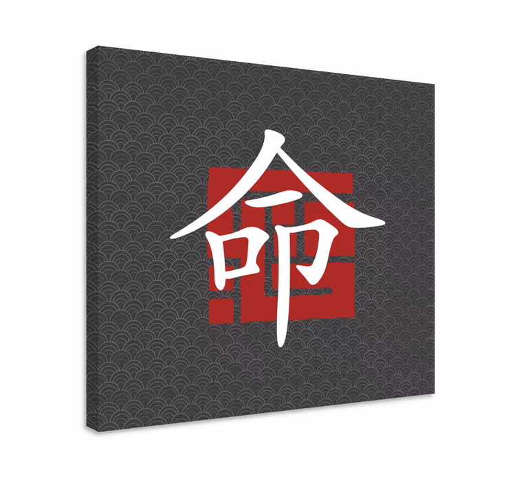 Obrazy na plátně, japonská písmena - TenStickers