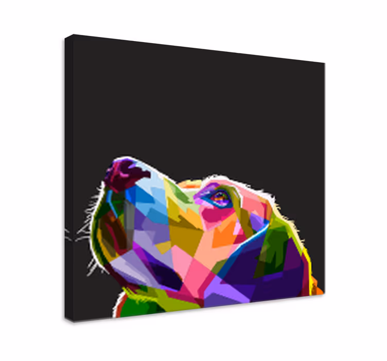 Duhové obrazy na plátně - TenStickers