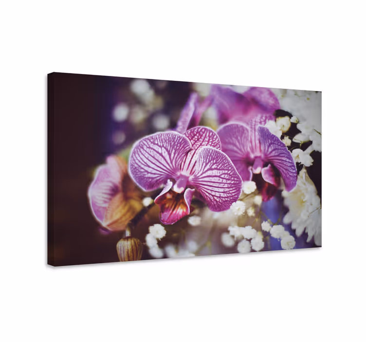 Obraza květin a rostlin detail orchidejových květů - TenStickers