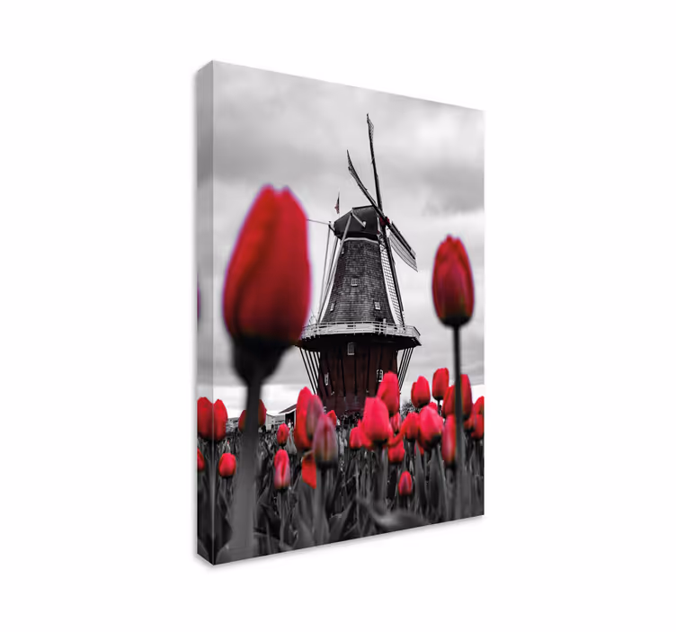 Obraz krajiny s větrným mlýnem a tulipány - TenStickers