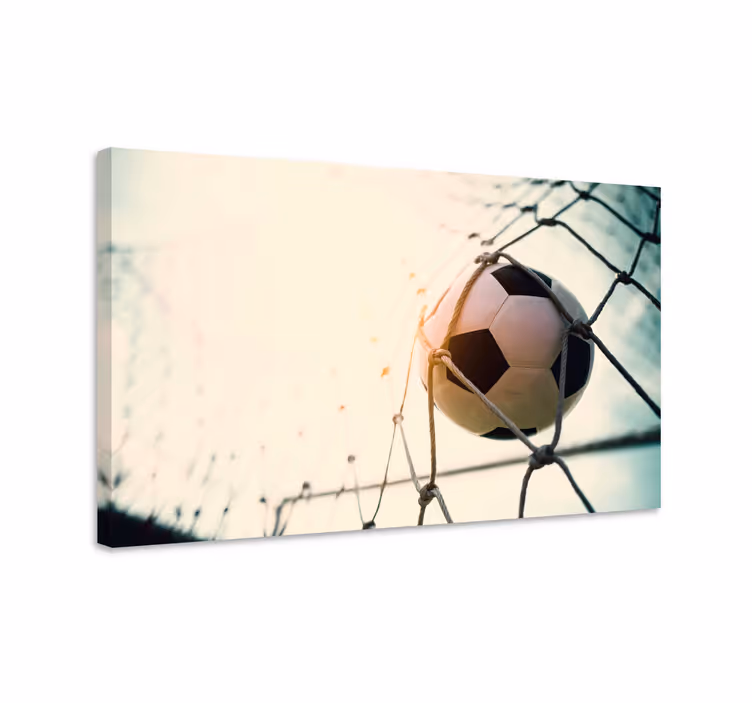 Obraza sport fotbalová branka - TenStickers