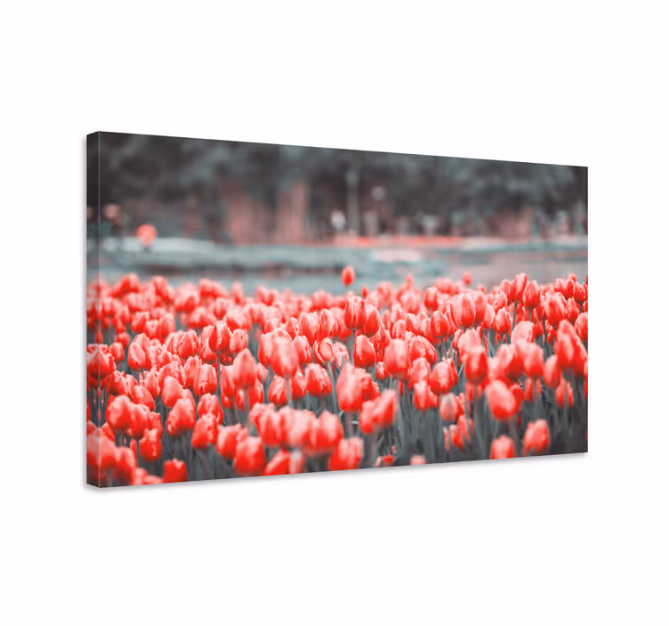 Obraza květin a rostlin vzrušující pole tulipánů - TenStickers