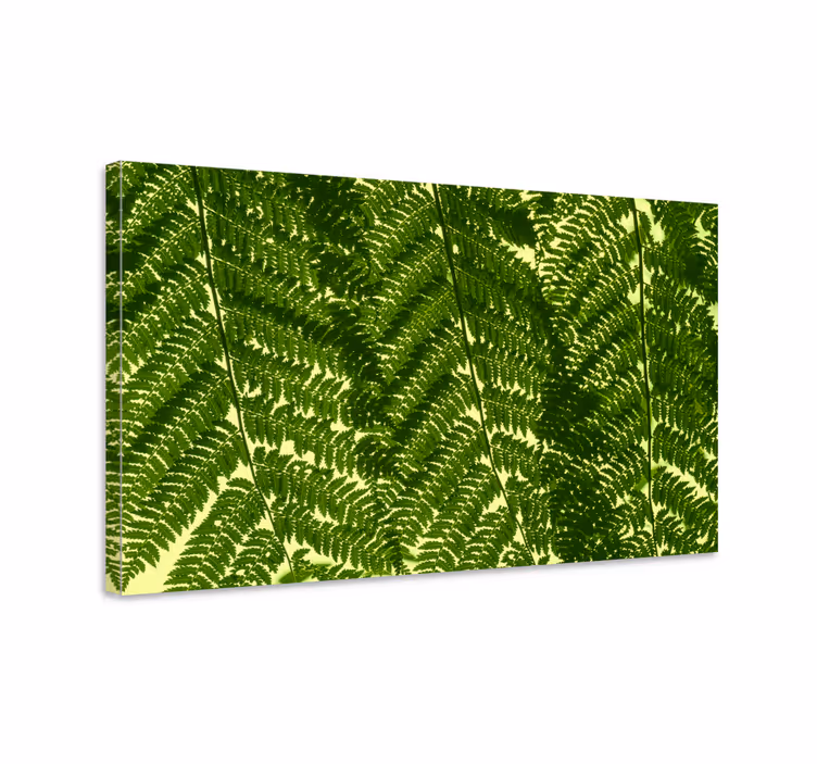 Green fern plant severské tisky - TenStickers