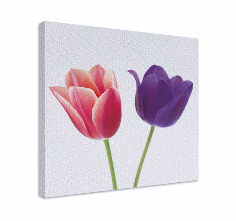 Fialové a růžové tulipány květinové obraz - TenStickers