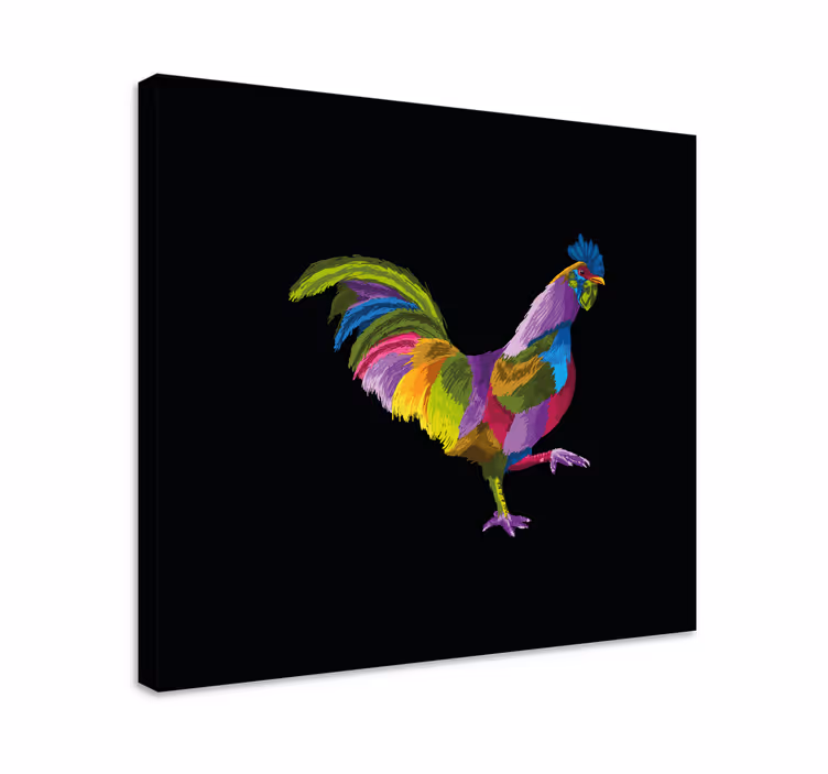 Barevný design kohouta Obraz ptáka - TenStickers