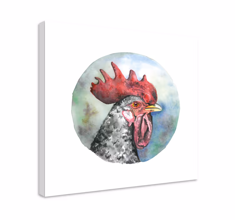 Obraz ptáka kohoutí portrét - TenStickers