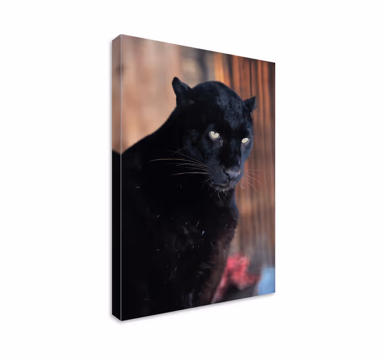 Leopard stalking 3d tisk na obraz - TenStickers