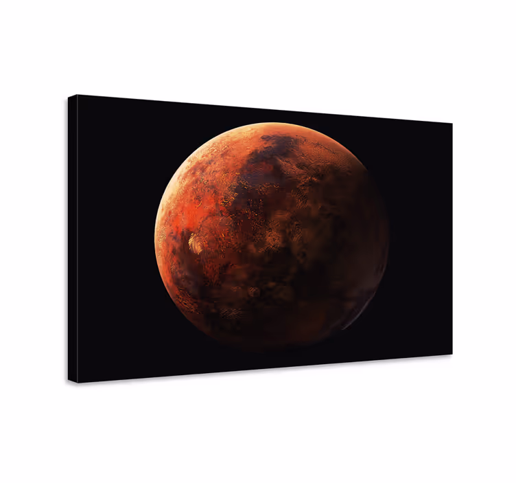 3d marth 3d canvas prints - TenStickers