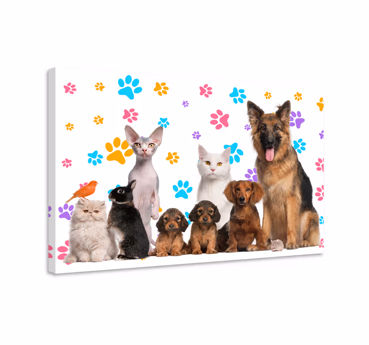Obrazy zvířat na plátně psů a koček - TenStickers
