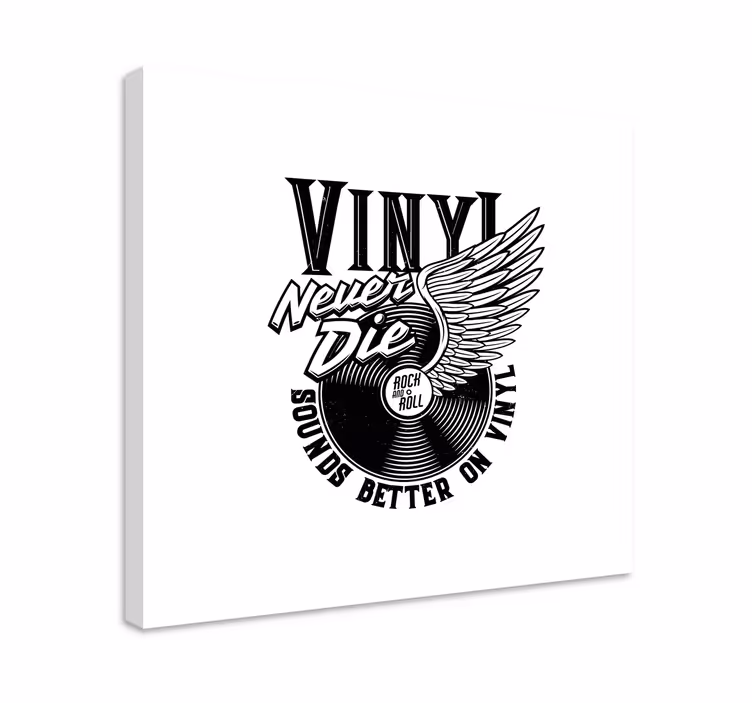 Obrazová hudba vinylové křídla - TenStickers