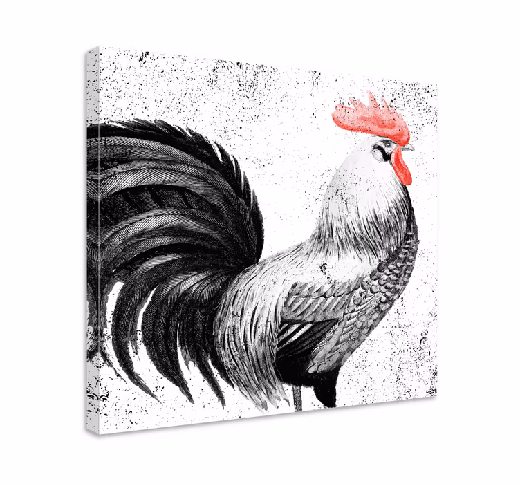 černý a červený kohout ptačí obraz - TenStickers