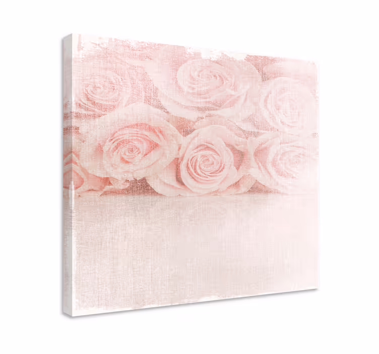 Světle růžové růže "shabby chic" retro obraz - TenStickers