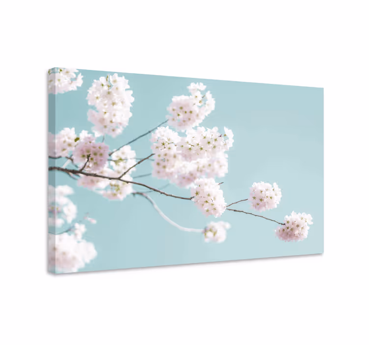 Obraza květin a rostlin sakura kvetoucí stonek - TenStickers