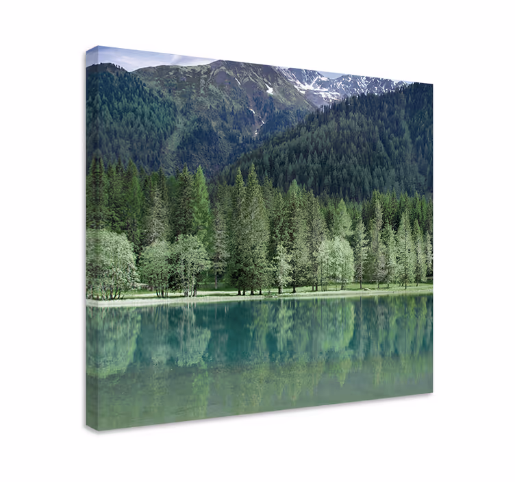 Příroda krásné nazelenalé jezero krajina obraz - TenStickers