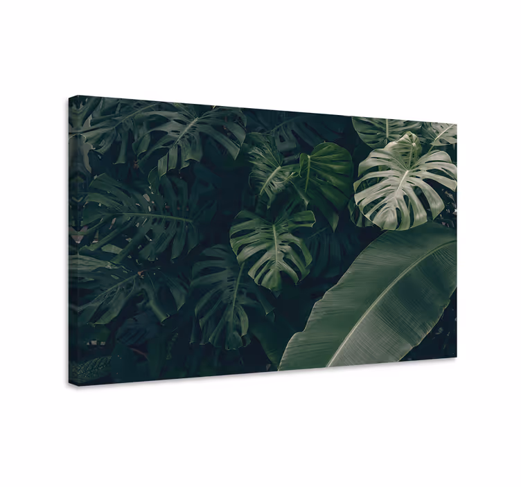 Obraza květin a rostlin bujné tropické listoví - TenStickers